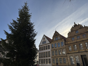 Der Weihnachtsbaum steht auf dem Alten Markt.