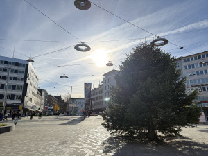 Der Weihnachtsbaum steht auf dem Jahnplatz.