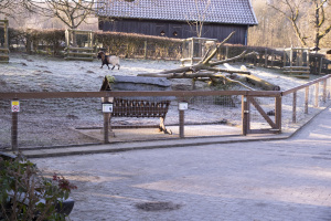 Neuer Zaun für das Gehege der Ziegenböcke in Olderdissen. Foto: UWB/Stadt Bielefeld