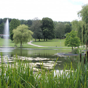 Bürgerpark mit Teich und Grünanlage