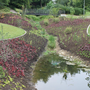 Bachtal im Botanischen Garten, das im Jahr 2020 angelegt wurde.
