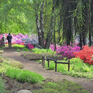 Weg durch den Botanischen Garten mit bunten Blumen-Beeten.