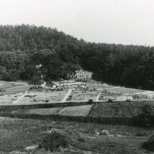 Botanischer Garten im Jahr 1913