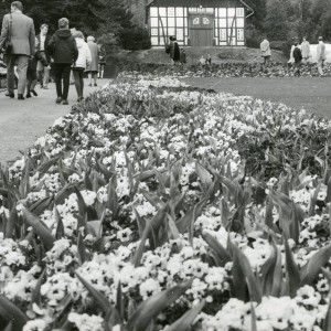 Der Botanische Garten im Jahr 1960 mit Fachwerkhaus im Hintergrund, Foto: Günter Rudolf