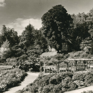 Der Botanische Garten im Jahr 1959, Foto: Eduard Heidemann
