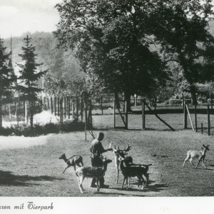 Altes Foto vom Tierpark Olderdissen um 1950