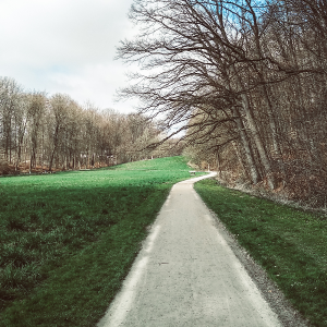 Laufstrecke der Bielefelder-Runden im Sieben-Teiche-Grünzug in Brake  