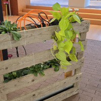 Halbfertiges Gartenelement