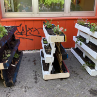 Aufgestellte vertikaler Gartenelemente